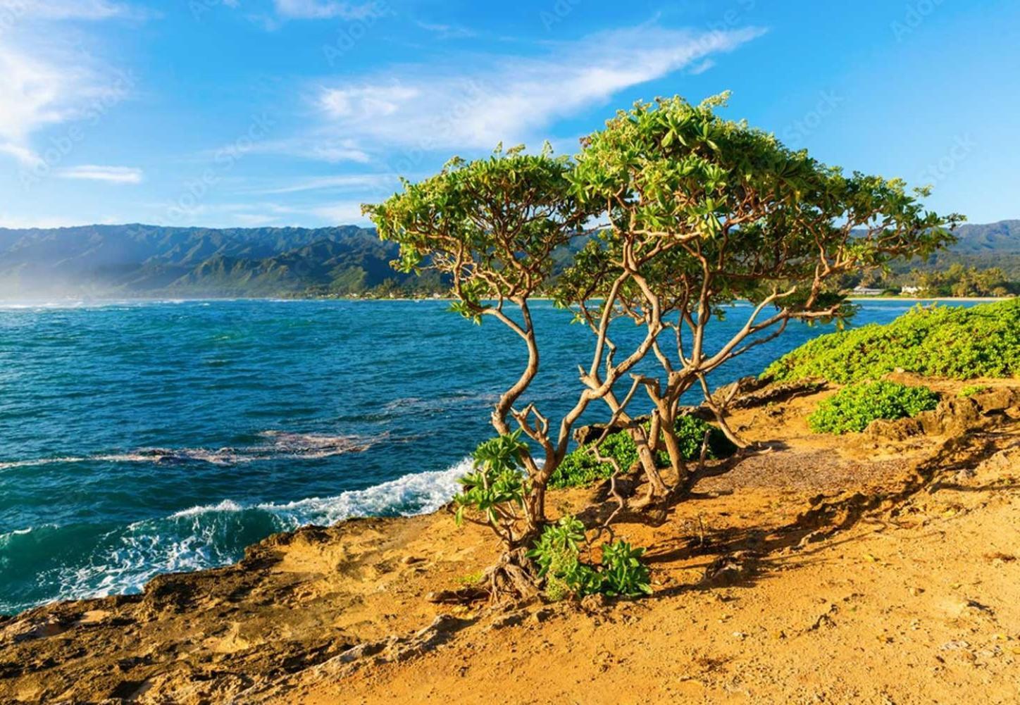 Naupaka Breeze Ocean View Ac 30 Day Stay Specials! Laie Ngoại thất bức ảnh